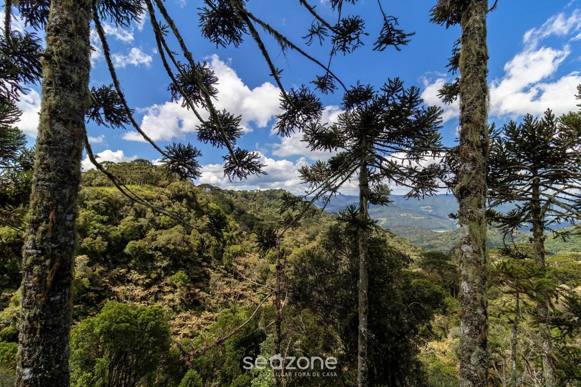 Chales Encantadores Em Urubici/Sc - Par 部屋 写真